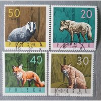 Польша лесные животные 4шт