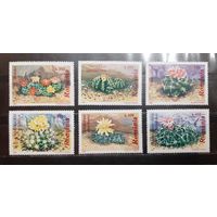 Румыния. 1997 год. Флора. Кактусы (1055)