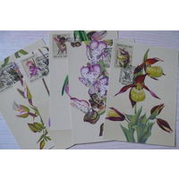 1990, 1991, Картмаксимум СССР, полная серия - 5 шт.; Охотина Н., Орхидеи (флора, цветы).