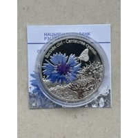 Василёк синий. 10 рублей 2012 год . Серебро ( Васілёк сіні).