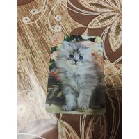 Календарик,коты,украина,2011