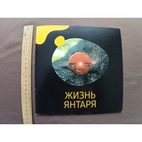 Красочный буклет-книга Жизнь янтаря на русском языке (3691)