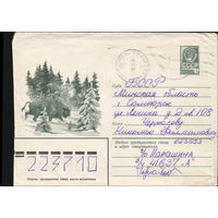 Художественный маркированный конверт СССР прошедший почту N 14470 (23.07.1980) Зимний лесной пейзаж с зубром