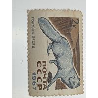 Распродажа коллекции с рубля ! Марки СССР  . Животные .