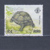 [573] Сейшелы 2004. Фауна.Черепаха. НАДПЕЧАТКА. Концовка серии. Гашеная марка.