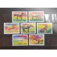 Танзания. 1993 год. Фауна. Лошади (1046)