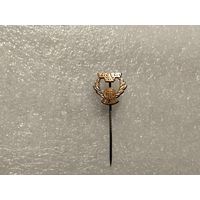 Федерация футбола