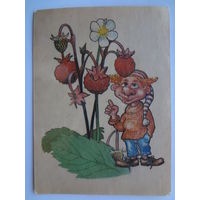 Календарик 1995 г. Земляника.