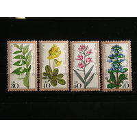 Зап. Берлин 1978 Цветы