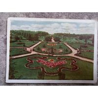 Мінск Батанічны сад 1959 паштоўка / Минск открытка ботанический сад