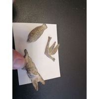 Старые зверушки