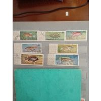 Фауна на почтовых марках