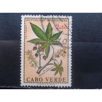 Кабо Верде, колония Португалии, 1968. Чудо-дерево
