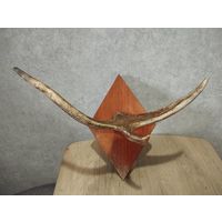 Вешалка из рога