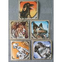 Монголия собаки 1984г 5шт