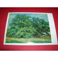 Шишкин Мордвиновские дубы чистая