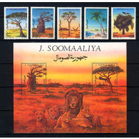 1994 Сомали. Деревья.