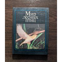 Мир лесных птиц | Фотоальбом | Птицы | Штейнбах