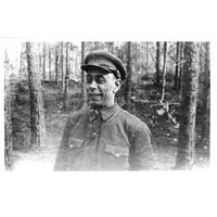 Партизаны лепельских лесов