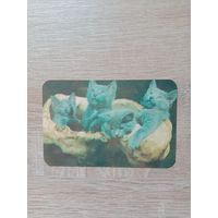 Календарик 1991