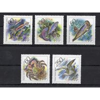 Россия 1993. Фауна. Животные морей 5 марок 104-108 (65)