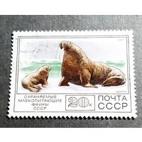 Марка СССР 1977 год Фауна