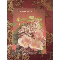 Открытка посвящена празднику 1 Мая