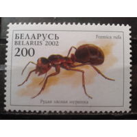 2002 Муравей**