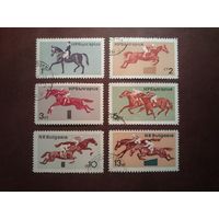 Болгария 1965  г.Конный спорт ./п/