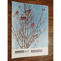 Юный натуралист 1977, комплект из вып. 1-8 и 10