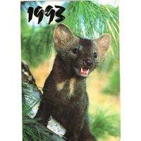 Календарик Фото К. Михалкина 1993