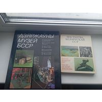 Дзяржаўны музей бсср і мастацтва Беларускай сср