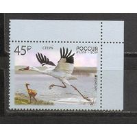 ФФ1 Россия 2019 Аист