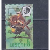 [519] Лесото 1981. Фауна.Птицы. БЕЗ КЛЕЯ.