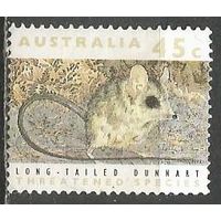 Австралия. Мышь полёвка. 1992г. Mi#1281.