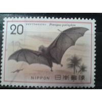 Япония,1974. Летучая лисица