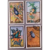 Жуки. Монголия, 1972