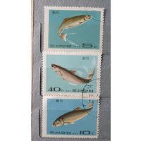 КНДР рыбы 3шт