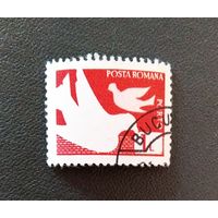 Марка Румыния 1957 год Стандарт