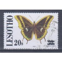 [1073] Лесото 1995. Фауна.Бабочка. НАДПЕЧАТКА. Одиночный выпуск.Гашеная марка.
