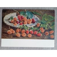 1955. Машков. Малина