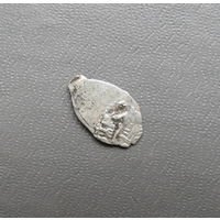 Чешуйка петра