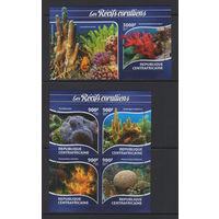 Центрально-Африканская Республика 2015** Подводный мир Кораллы