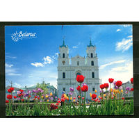 Гродно. Базилика Св. Франциска Ксаверия. 2011