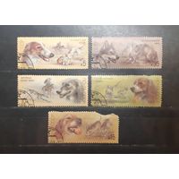 СССР. 1988 год. Фауна. Собаки (791)