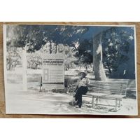 Фото из СССР. В сквере на курорте. Реклама пассажирских перевозок морем.  1960-70 г. (?) 7.5х11 см.