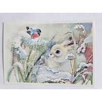 Жебелева 1988 С новым годом