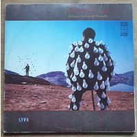 Pink Floyd - Delicate Sound Of Thunder
