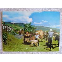 Коста-Рика, Эскасу. Типичный вид