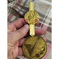 Очень крупный знак,дсо лучь,Гомель,с рубля